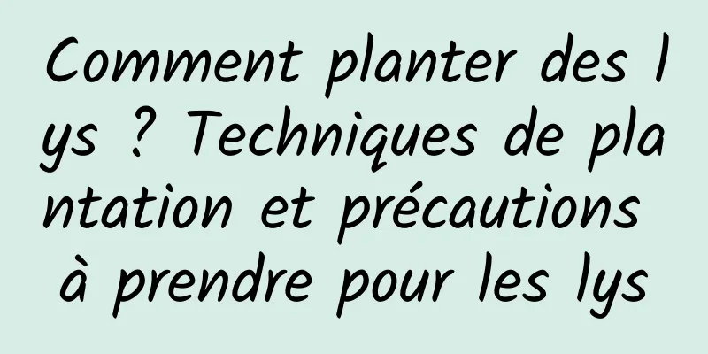 Comment planter des lys ? Techniques de plantation et précautions à prendre pour les lys