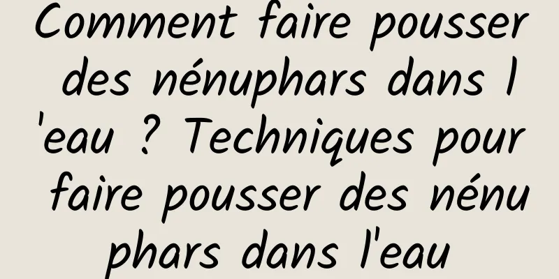 Comment faire pousser des nénuphars dans l'eau ? Techniques pour faire pousser des nénuphars dans l'eau