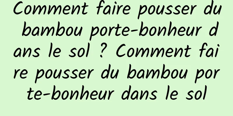 Comment faire pousser du bambou porte-bonheur dans le sol ? Comment faire pousser du bambou porte-bonheur dans le sol