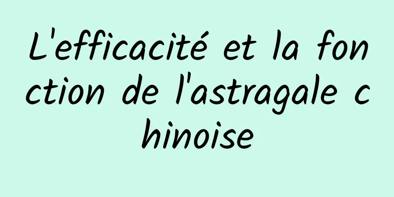 L'efficacité et la fonction de l'astragale chinoise