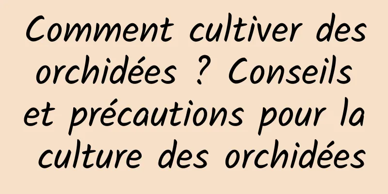 Comment cultiver des orchidées ? Conseils et précautions pour la culture des orchidées