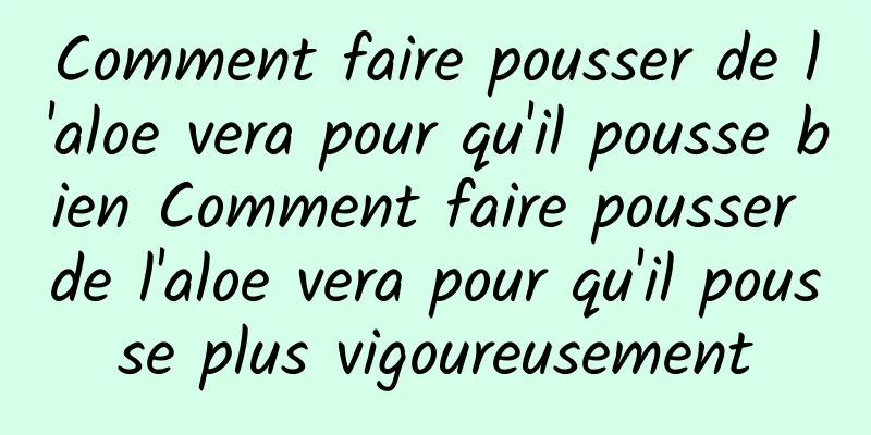 Comment faire pousser de l'aloe vera pour qu'il pousse bien Comment faire pousser de l'aloe vera pour qu'il pousse plus vigoureusement