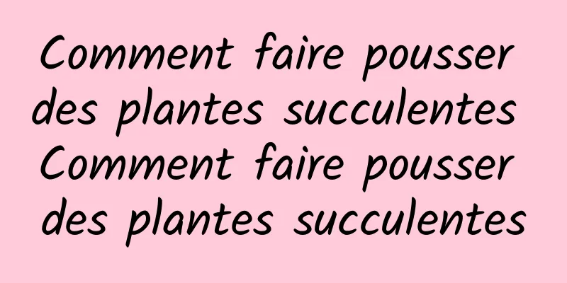 Comment faire pousser des plantes succulentes Comment faire pousser des plantes succulentes