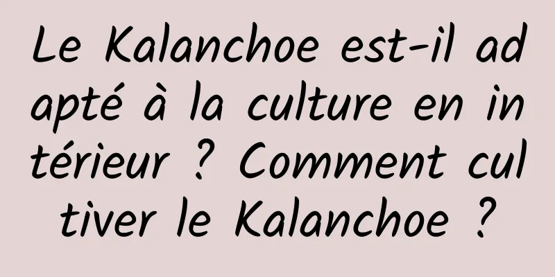 Le Kalanchoe est-il adapté à la culture en intérieur ? Comment cultiver le Kalanchoe ?