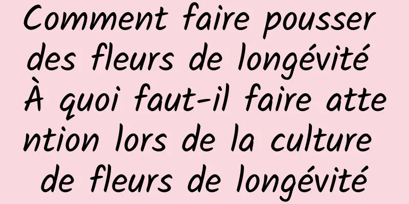 Comment faire pousser des fleurs de longévité À quoi faut-il faire attention lors de la culture de fleurs de longévité