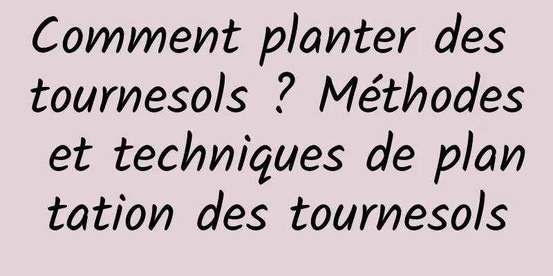 Comment planter des tournesols ? Méthodes et techniques de plantation des tournesols