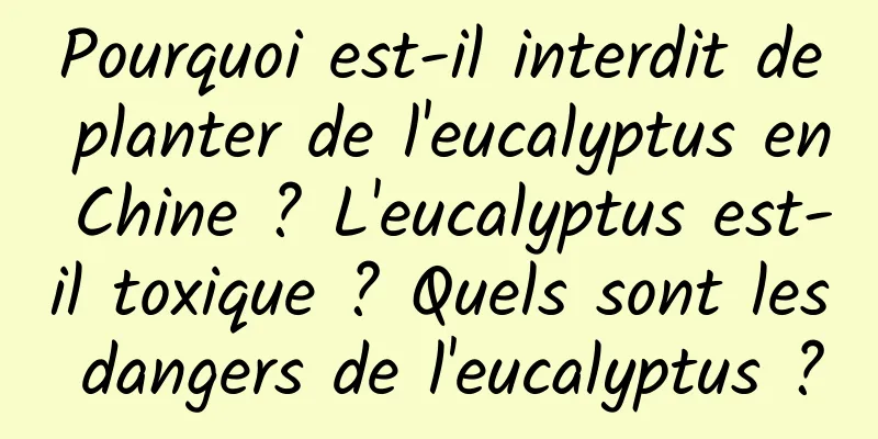 Pourquoi est-il interdit de planter de l'eucalyptus en Chine ? L'eucalyptus est-il toxique ? Quels sont les dangers de l'eucalyptus ?