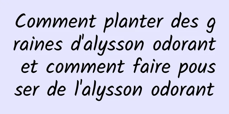 Comment planter des graines d'alysson odorant et comment faire pousser de l'alysson odorant