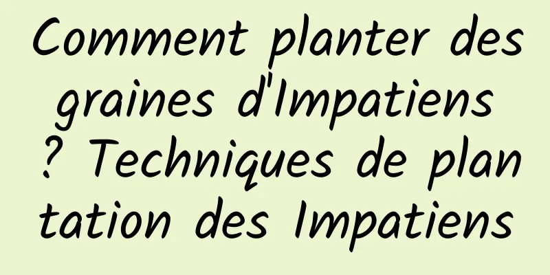 Comment planter des graines d'Impatiens ? Techniques de plantation des Impatiens