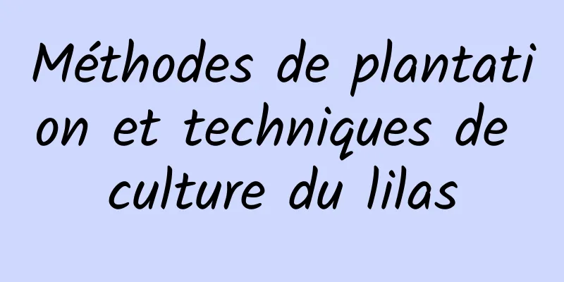 Méthodes de plantation et techniques de culture du lilas