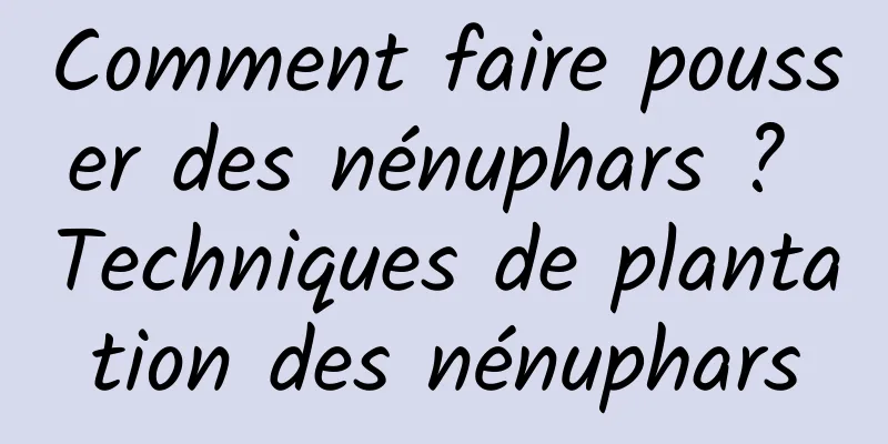 Comment faire pousser des nénuphars ? Techniques de plantation des nénuphars