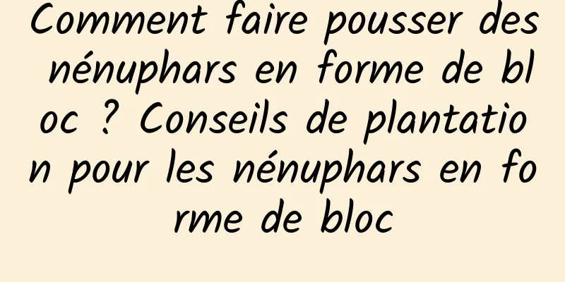 Comment faire pousser des nénuphars en forme de bloc ? Conseils de plantation pour les nénuphars en forme de bloc