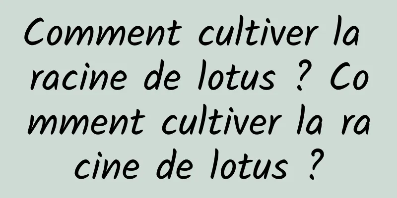 Comment cultiver la racine de lotus ? Comment cultiver la racine de lotus ?