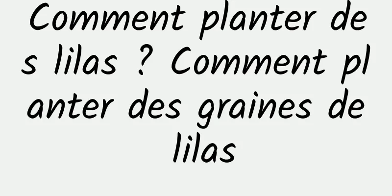 Comment planter des lilas ? Comment planter des graines de lilas