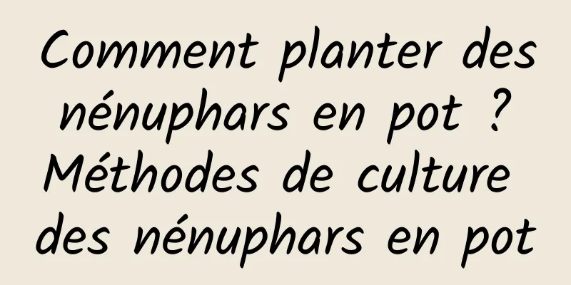 Comment planter des nénuphars en pot ? Méthodes de culture des nénuphars en pot