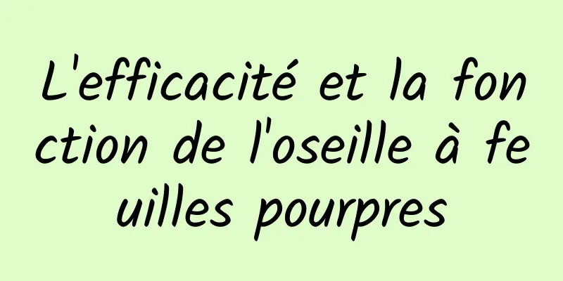 L'efficacité et la fonction de l'oseille à feuilles pourpres