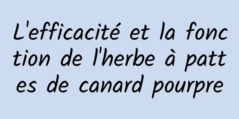 L'efficacité et la fonction de l'herbe à pattes de canard pourpre