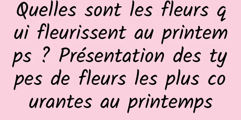 Quelles sont les fleurs qui fleurissent au printemps ? Présentation des types de fleurs les plus courantes au printemps