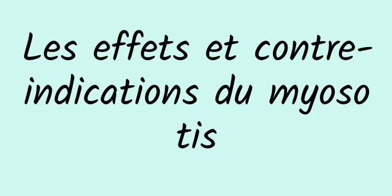 Les effets et contre-indications du myosotis