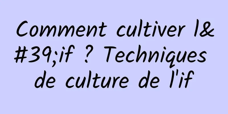 Comment cultiver l'if ? Techniques de culture de l'if