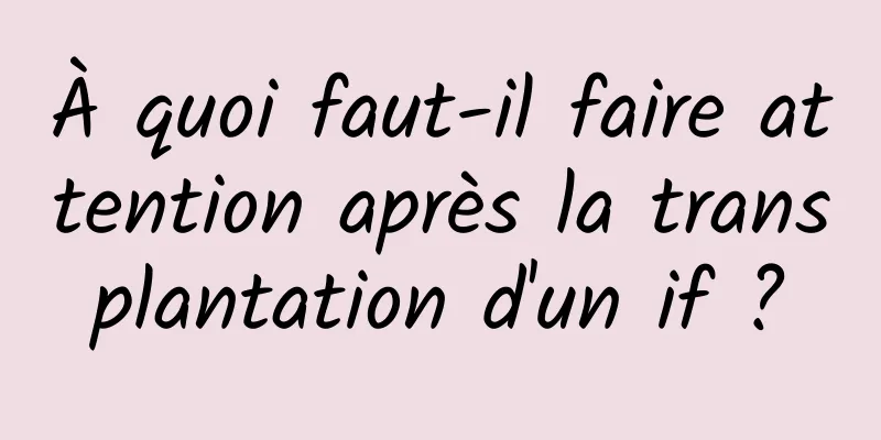 À quoi faut-il faire attention après la transplantation d'un if ?