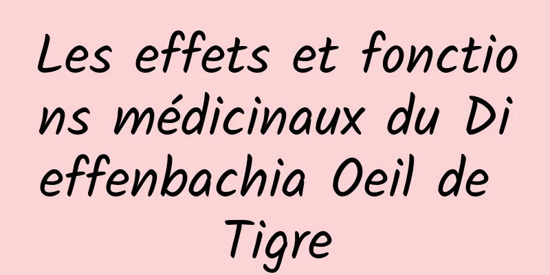 Les effets et fonctions médicinaux du Dieffenbachia Oeil de Tigre