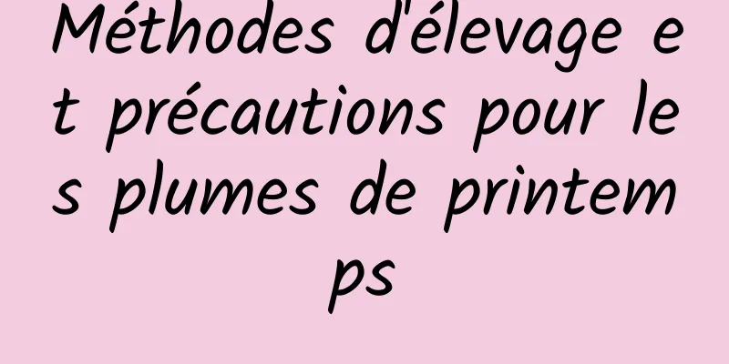 Méthodes d'élevage et précautions pour les plumes de printemps