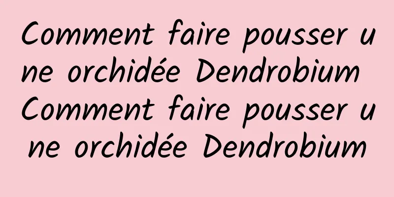 Comment faire pousser une orchidée Dendrobium Comment faire pousser une orchidée Dendrobium