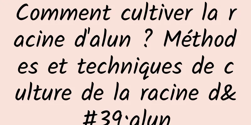 Comment cultiver la racine d'alun ? Méthodes et techniques de culture de la racine d'alun