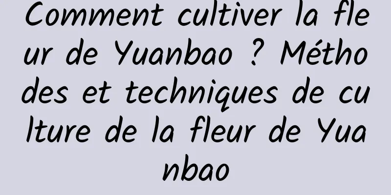 Comment cultiver la fleur de Yuanbao ? Méthodes et techniques de culture de la fleur de Yuanbao