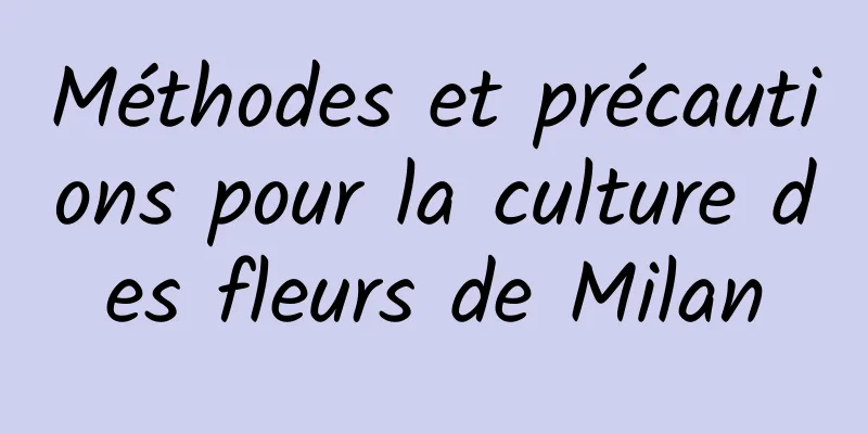 Méthodes et précautions pour la culture des fleurs de Milan