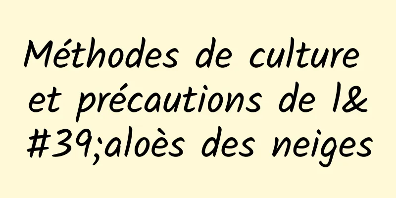 Méthodes de culture et précautions de l'aloès des neiges