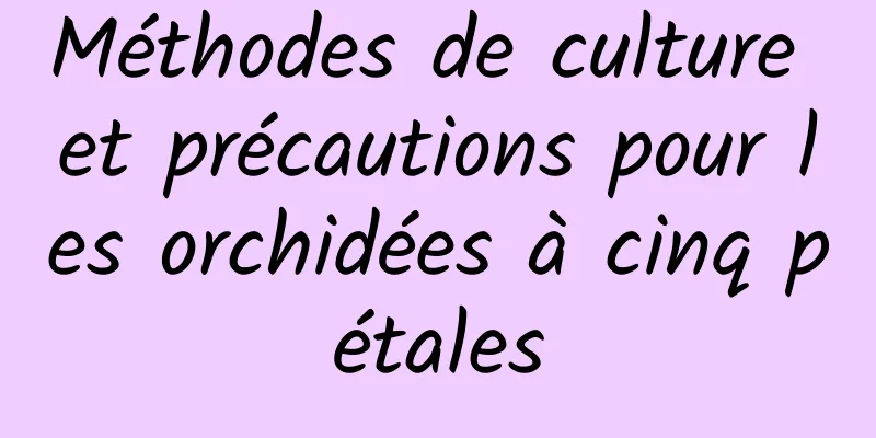 Méthodes de culture et précautions pour les orchidées à cinq pétales