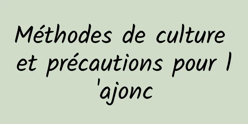 Méthodes de culture et précautions pour l'ajonc