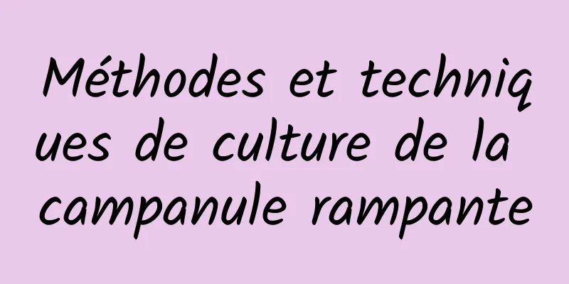 Méthodes et techniques de culture de la campanule rampante