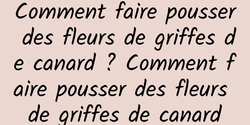 Comment faire pousser des fleurs de griffes de canard ? Comment faire pousser des fleurs de griffes de canard