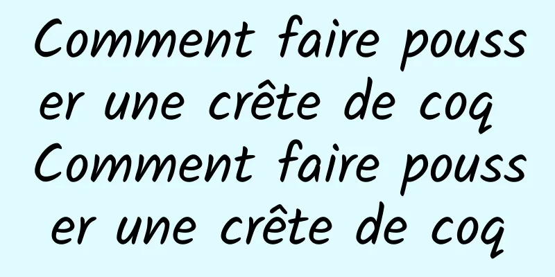 Comment faire pousser une crête de coq Comment faire pousser une crête de coq