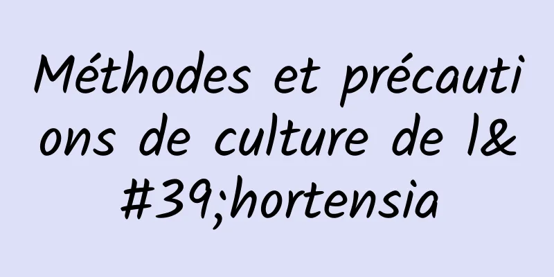 Méthodes et précautions de culture de l'hortensia