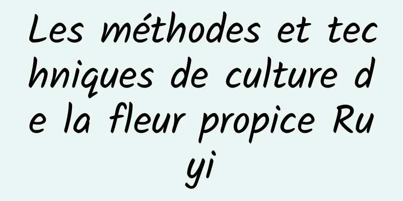 Les méthodes et techniques de culture de la fleur propice Ruyi