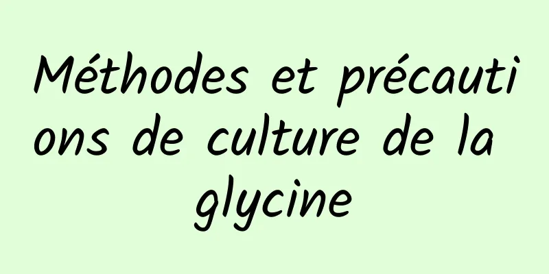 Méthodes et précautions de culture de la glycine