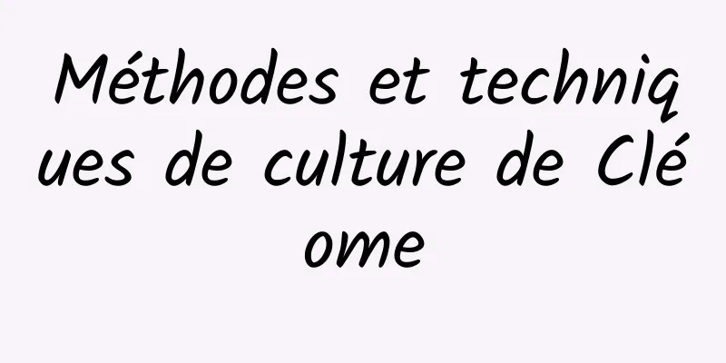 Méthodes et techniques de culture de Cléome