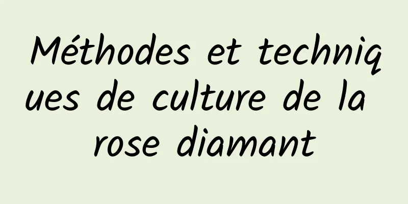 Méthodes et techniques de culture de la rose diamant