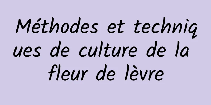 Méthodes et techniques de culture de la fleur de lèvre