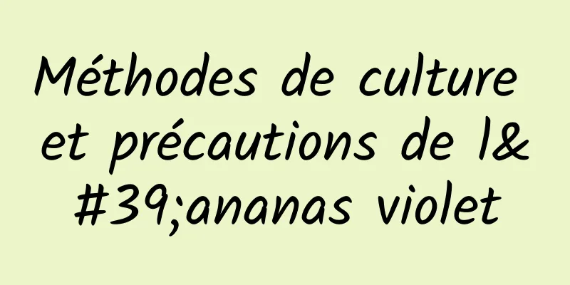 Méthodes de culture et précautions de l'ananas violet