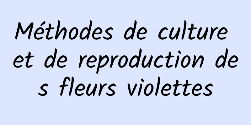 Méthodes de culture et de reproduction des fleurs violettes