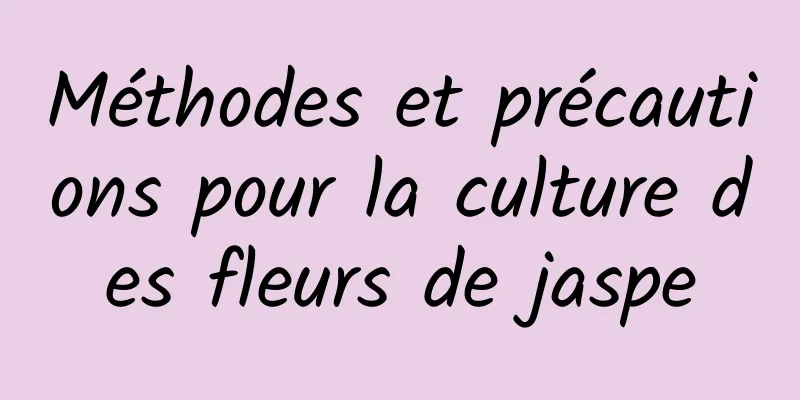 Méthodes et précautions pour la culture des fleurs de jaspe