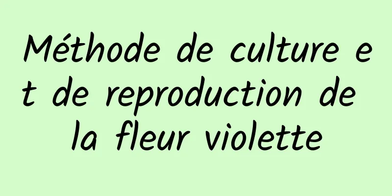 Méthode de culture et de reproduction de la fleur violette