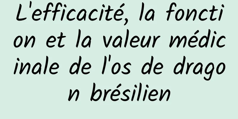 L'efficacité, la fonction et la valeur médicinale de l'os de dragon brésilien