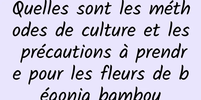 Quelles sont les méthodes de culture et les précautions à prendre pour les fleurs de bégonia bambou