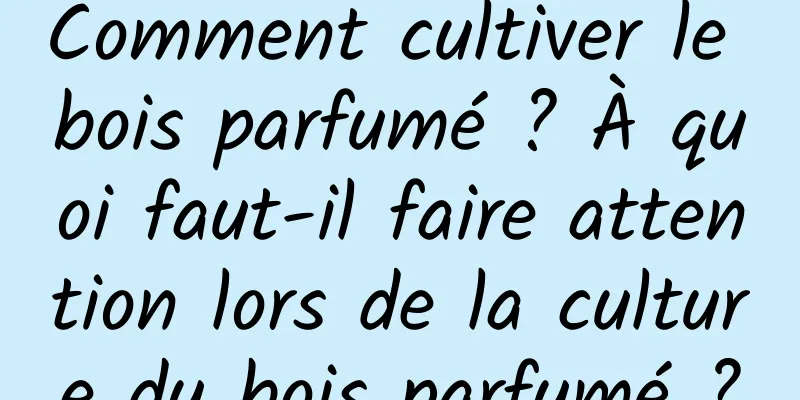 Comment cultiver le bois parfumé ? À quoi faut-il faire attention lors de la culture du bois parfumé ?